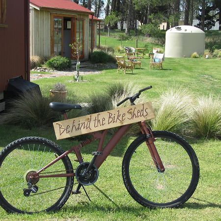 לינה וארוחת בוקר Waipiata Behind The Bike Sheds מראה חיצוני תמונה